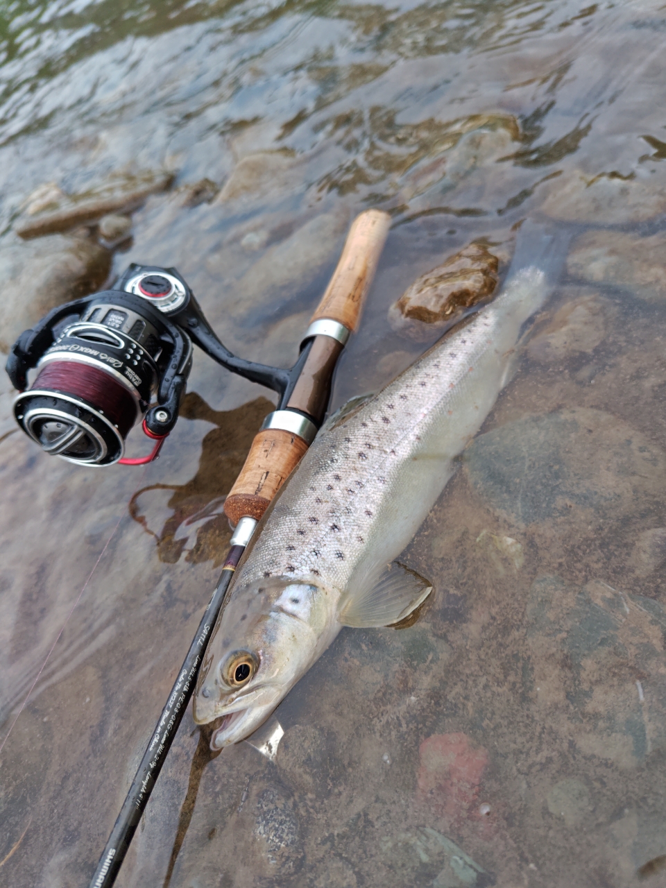 SHIMANO 17トラウトワン NS S411Lの最安値・インプレ・釣果