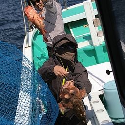 ウッカリカサゴ
