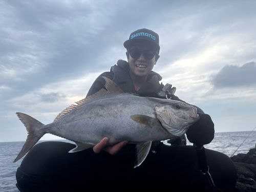 ショゴの釣果