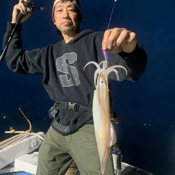 ケンサキイカ