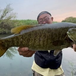 スモールマウスバス