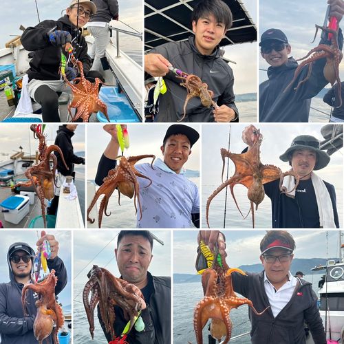 タコの釣果