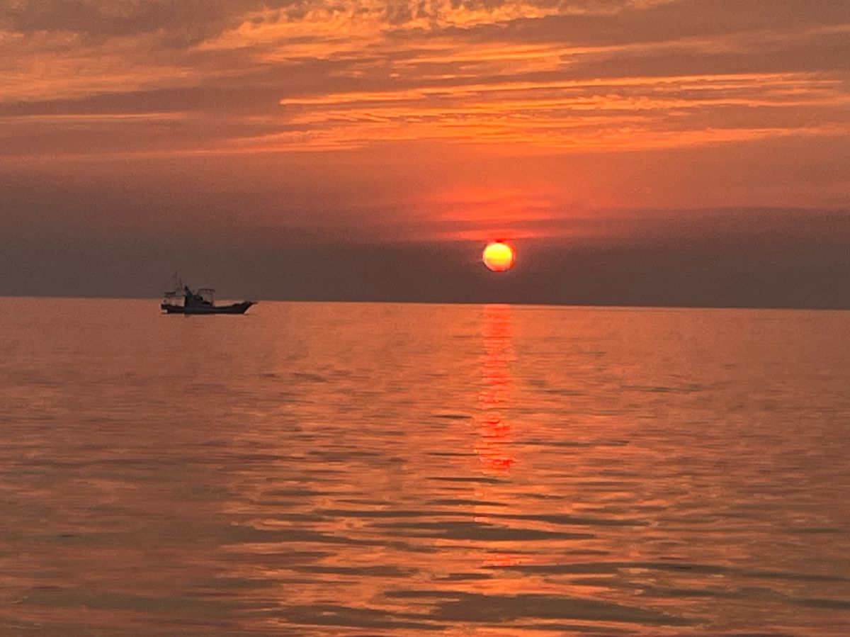 Guest40677787さんの釣果 2枚目の画像