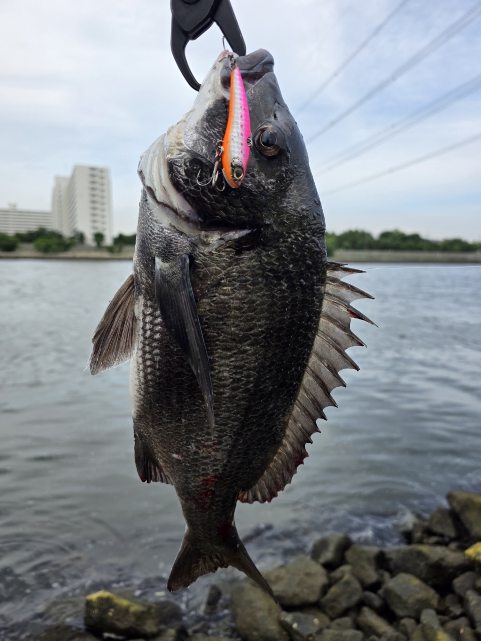 AbuGarcia クロスフィールド XRFS-902MLの最安値・インプレ
