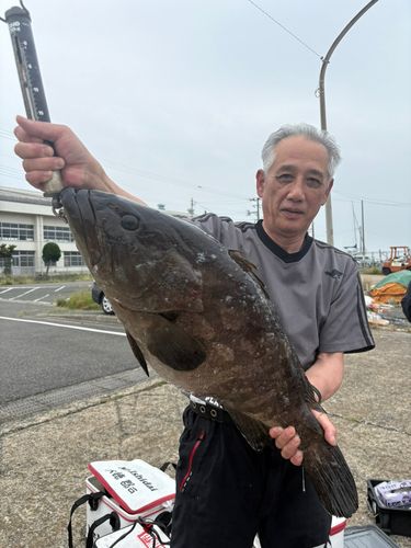 クエの釣果