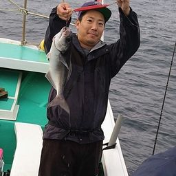 メダイ
