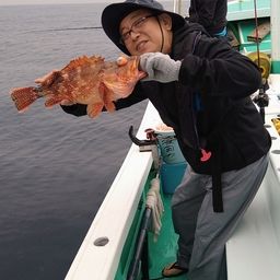 ウッカリカサゴ