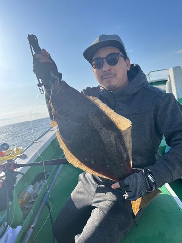 ヒラメの釣果