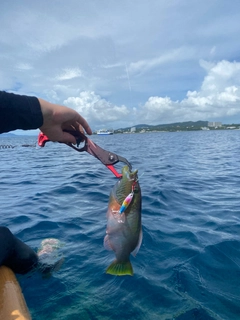 ヒロサーの釣果