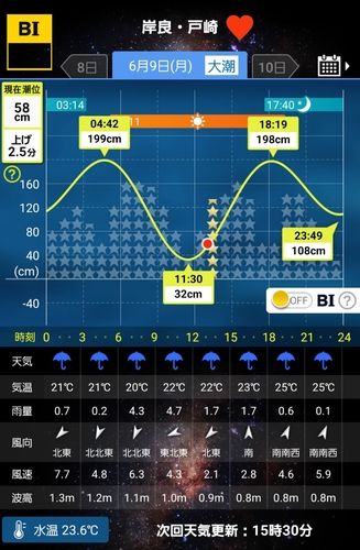 ソウダガツオの釣果