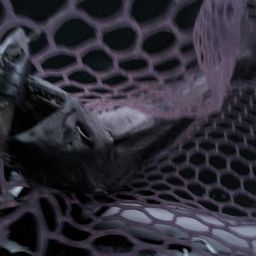 サゴシ
