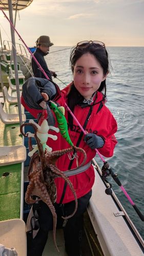 マダコの釣果