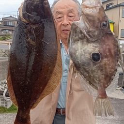 ヒラメ