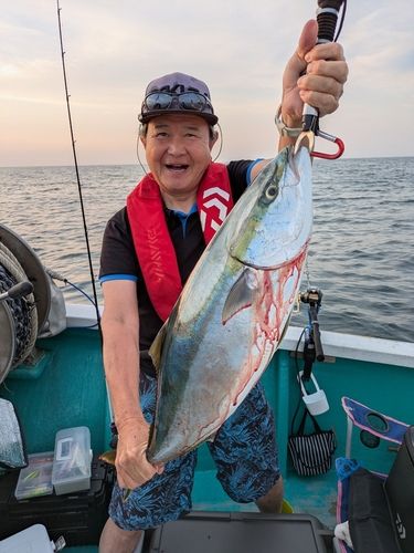 ブリの釣果