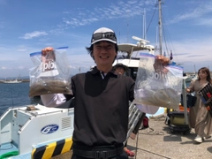 マルイカの釣果