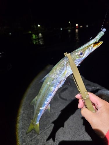 カマス
