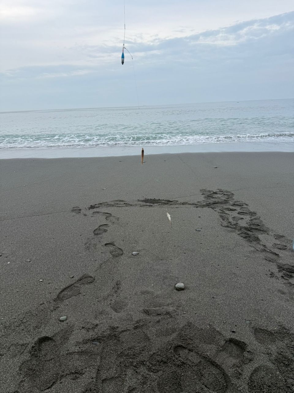 シロギス