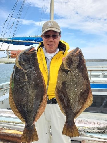 ヒラメの釣果