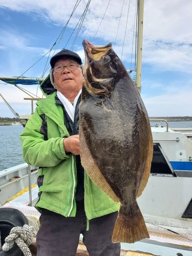 ヒラメの釣果