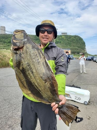 ヒラメの釣果