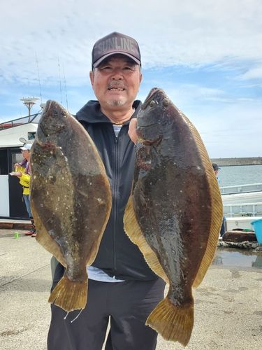 ヒラメの釣果