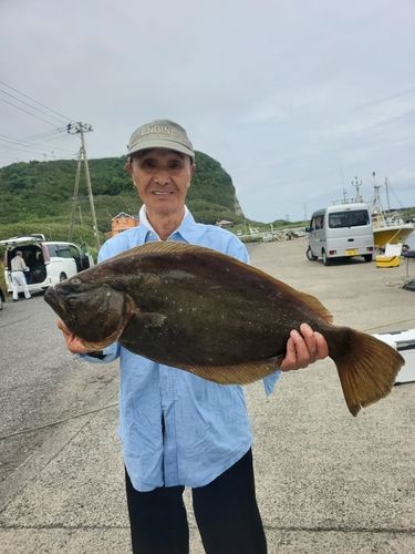 ヒラメの釣果