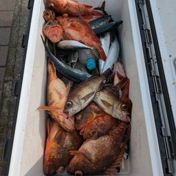サバ