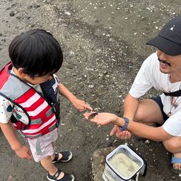 マハゼ