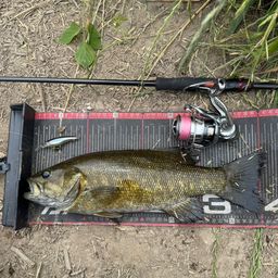 スモールマウスバス