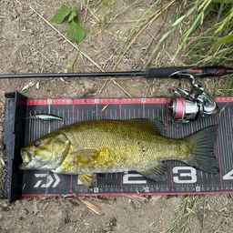 スモールマウスバス