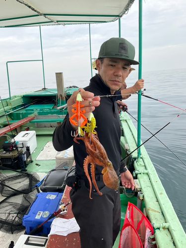 タコの釣果