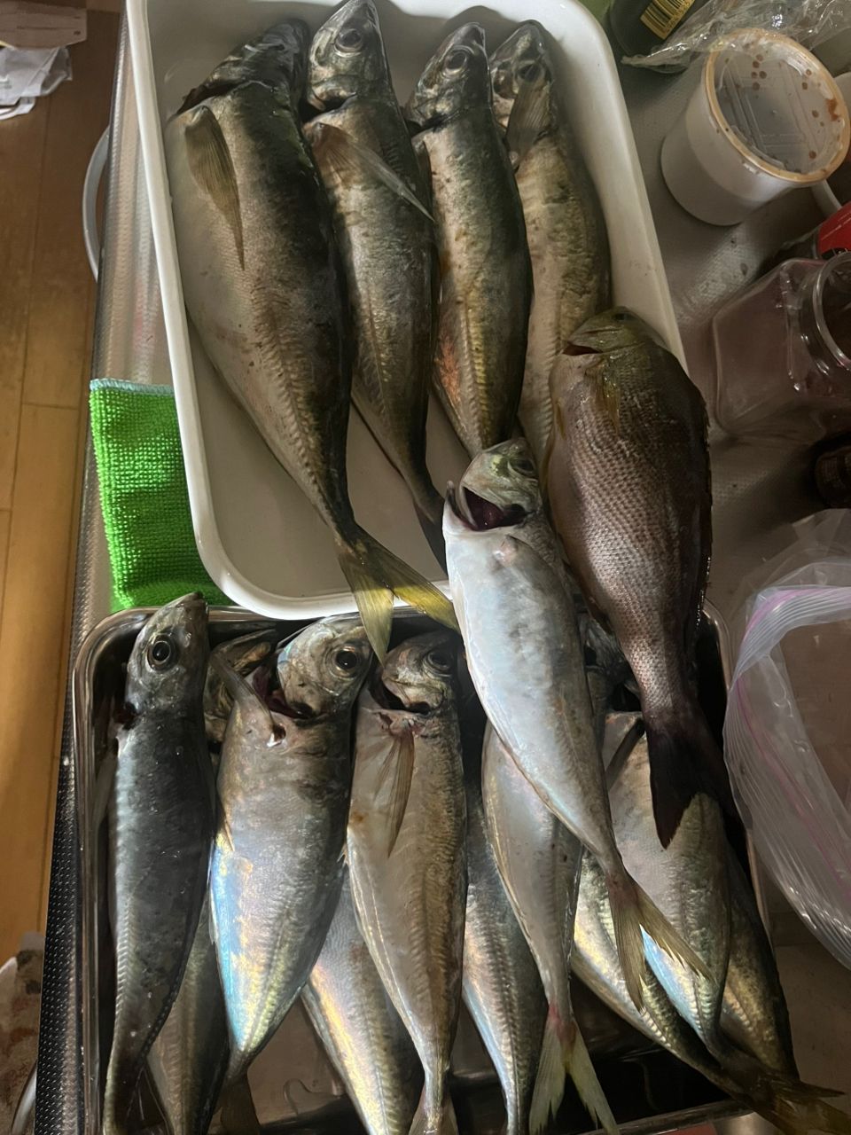 みっちー３５８さんの釣果 2枚目の画像