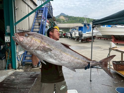 カンパチの釣果