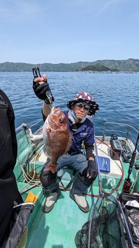 マダイの釣果