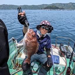 マダイ