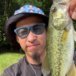 ラージマウスバス