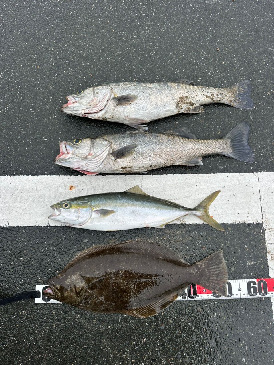 イナダ