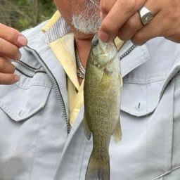 スモールマウスバス