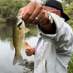 スモールマウスバス