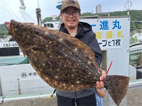 ヒラメの釣果
