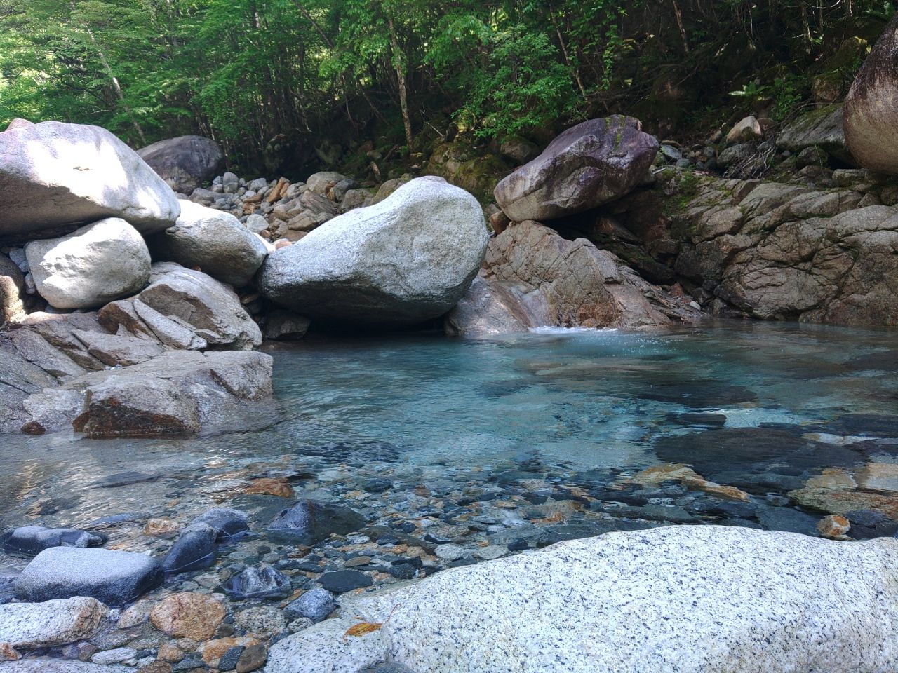 イワナ
