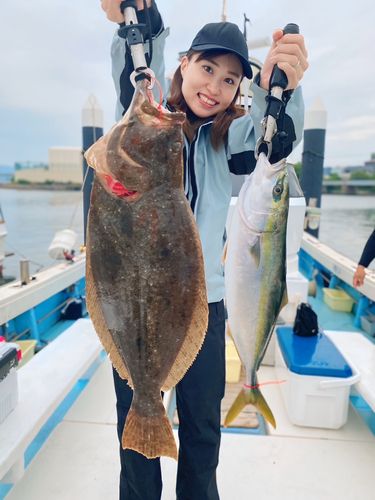 ヒラメの釣果