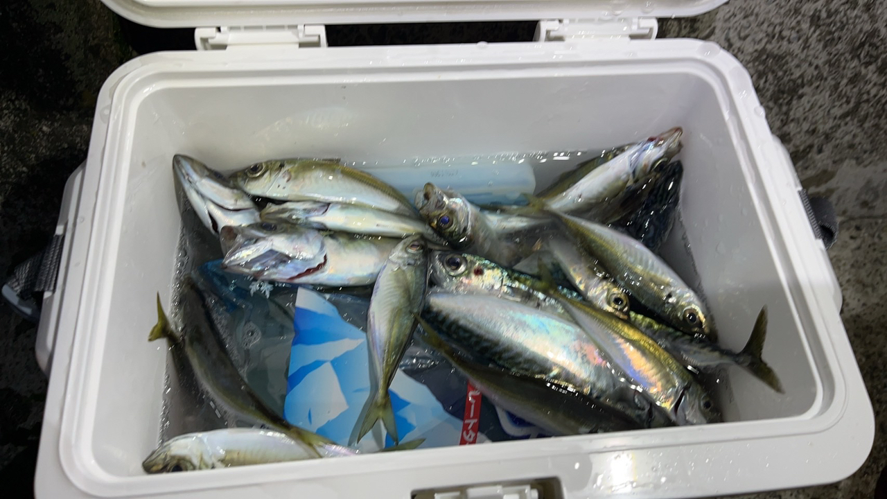 メジャークラフト 鯵道 5G AD5-S582L/AJI (ロッド・釣竿) 価格