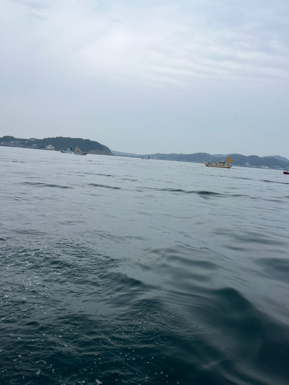 Guest62908869さんの釣果 2枚目の画像