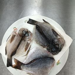 クロメバル