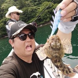 カサゴ