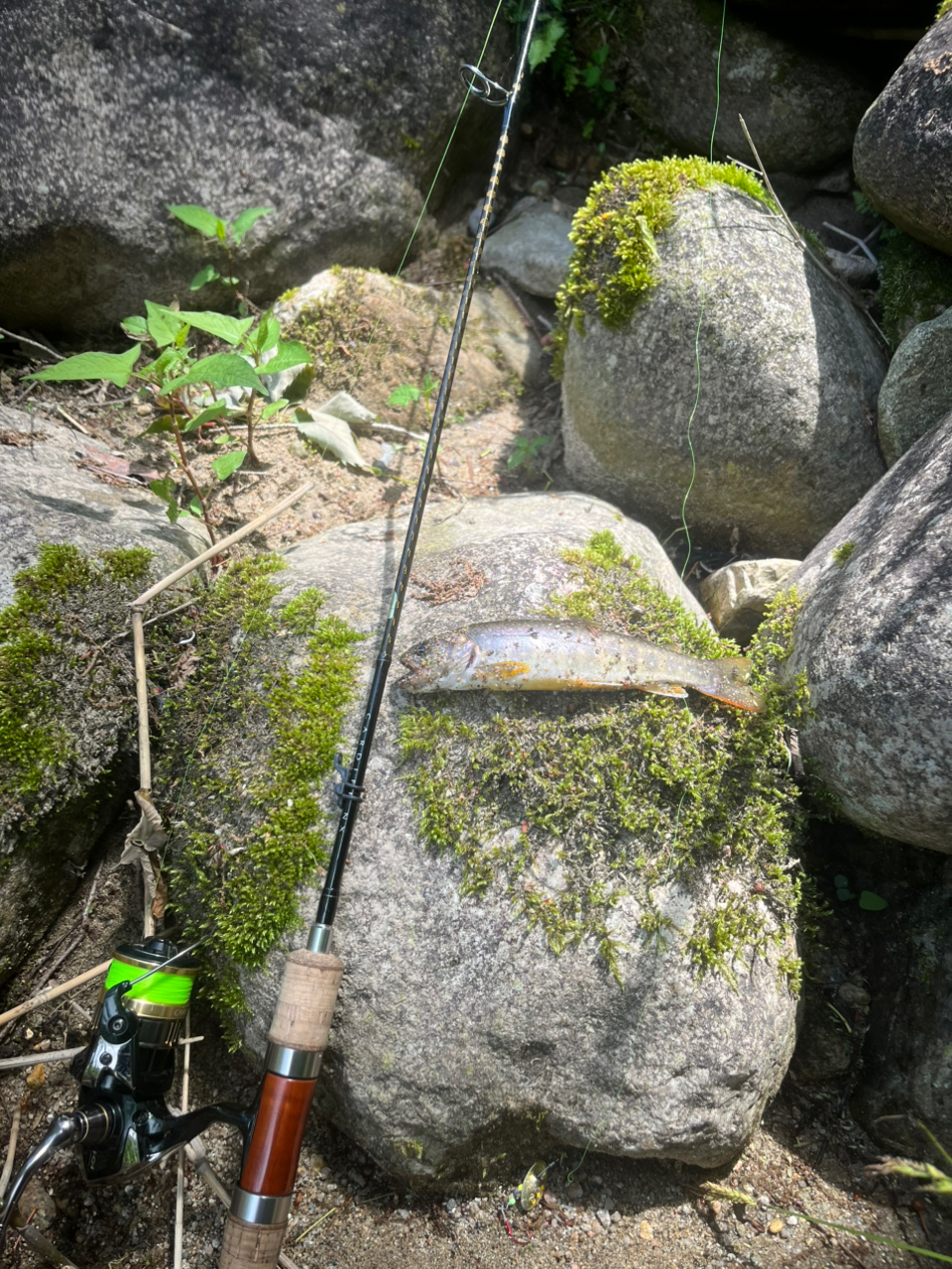 SHIMANO 18カーディフ CI4+ 1000SHGの最安値・インプレ・釣果