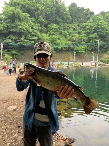 ニジマスの釣果