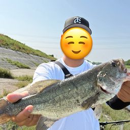 ラージマウスバス