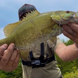 スモールマウスバス